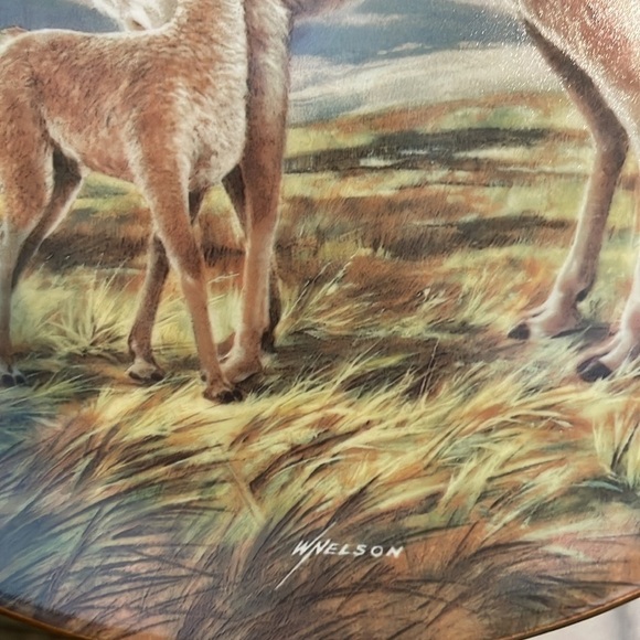 The Vicuña Will Nelson Vintage Last of Their Kind: The Endangered Species Plate - Picture 11 of 15